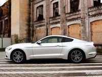 używany Ford Mustang 2.3 EcoBoost 2017 PREMIUM
