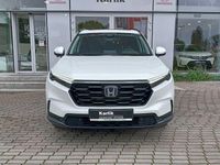 Obraz 2