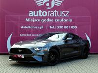 Obraz 2
