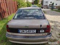 Obraz 3