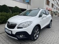 Obraz 1