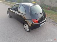 Obraz 3
