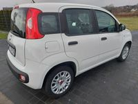 używany Fiat Panda 1.2dm 69KM 2019r. 62 000km