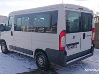 używany Fiat Ducato Z RAMPOM DLA NIEPELNOSPRAWNYCH