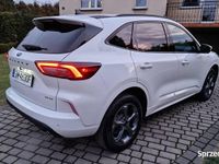 używany Ford Escape (Kuga) 2.0 benzyna 252 KM, automat, ST-Line