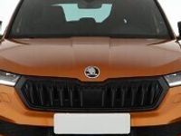 używany Skoda Karoq  1. Właściciel, Serwis ASO, Automat, Navi, Klimatronic,