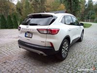 Obraz 3