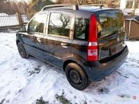 używany Fiat Panda