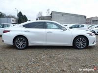 używany Lexus ES300H ES300Business Edition + Sedan KR6TL18