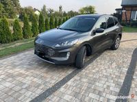 Używany Ford Escape SEL 2020 SUV