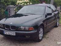 Obraz 1