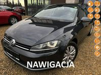 Używany VW Golf VII Allstar 2016 Szary Hatchback