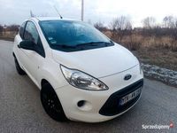 Obraz 3