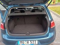 używany VW Golf VII 2013 1.6 TDI