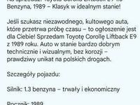 Obraz 3