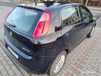 Obraz 3