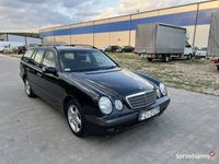 Obraz 3