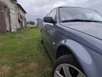 Obraz 1