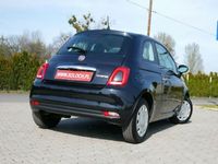 używany Fiat 500 1.0 Hybrid 70KM Cult Seria 9 -Kraj -1Wł -Serwis AS…