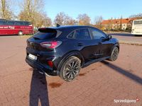 używany Ford Puma 1.0 EcoBoost 155KM ST Line