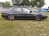 Obraz 3