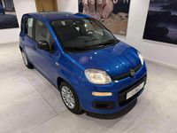 używany Fiat Panda MY25 Pandina Icon 1.0 70 KM