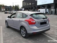 Używany Ford Focus 2013 Hatchback