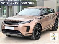 Nowe Land Rover Range Rover evoque S 269 KM (197 kW) 2025 Inny kolor SUV