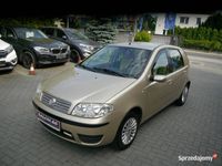 Obraz 3
