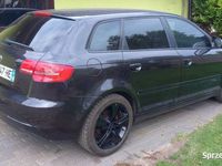 Obraz 3
