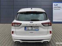 używany Ford Kuga ST-Line 1.5 EcoBoost 150 KM M6 MD15666 III (2019-)