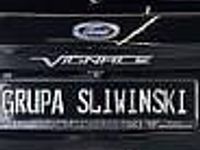 używany Ford S-MAX S-MAX II 2.0 EcoBlue Vignale