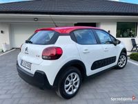 Obraz 3