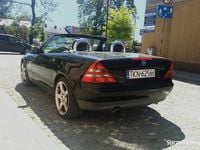 Obraz 3