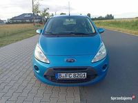 Obraz 3