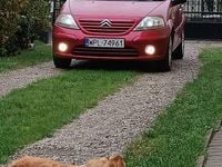 Obraz 3