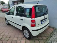 używany Fiat Panda 1.1dm 54KM 2008r. 150 000km
