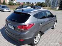 Obraz 3