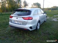 Obraz 3