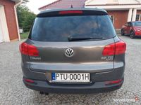 Obraz 3