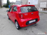 używany Kia Picanto 