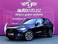 Obraz 3