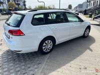 Obraz 3