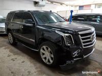 używany Cadillac Escalade 2015