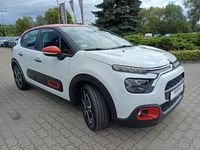 Obraz 3