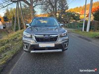 Używany Subaru Forester 2020 Brązowy SUV