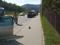 Obraz 2