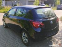 Obraz 3