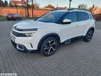 Obraz 3
