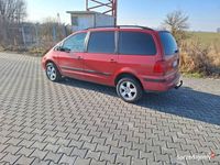 Obraz 3